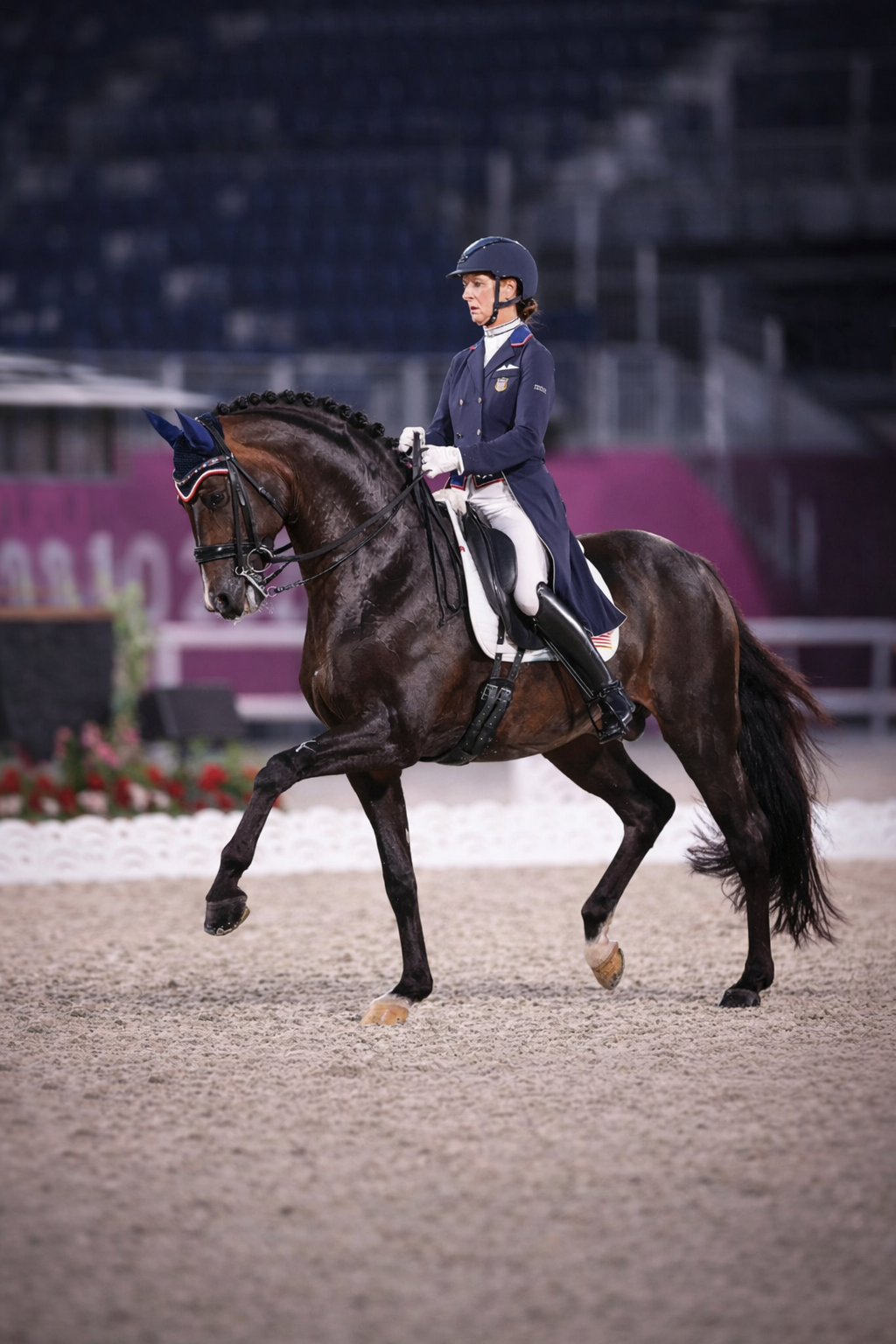 Dressage horse and rider